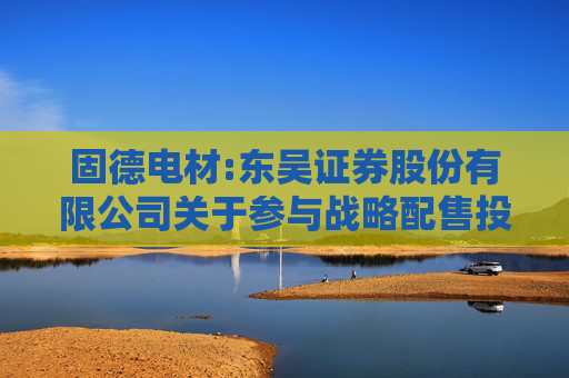 固德电材:东吴证券股份有限公司关于参与战略配售投资者的专项核查报告