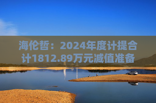 海伦哲：2024年度计提合计1812.89万元减值准备  第1张
