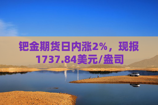 钯金期货日内涨2%，现报1737.84美元/盎司