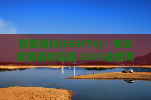 鼎胜新材(603876)：电池铝箔需求旺盛 2025业绩同比高增