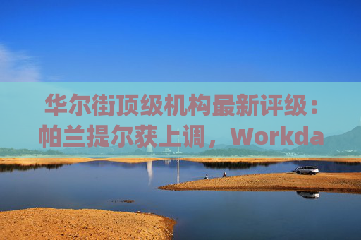 华尔街顶级机构最新评级：帕兰提尔获上调，Workday遭下调