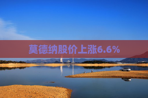 莫德纳股价上涨6.6%