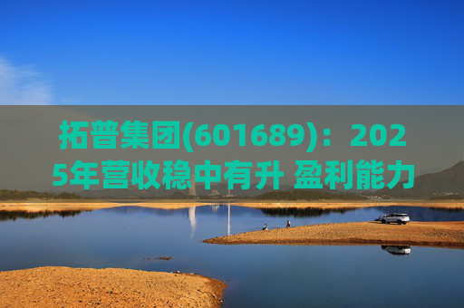 拓普集团(601689)：2025年营收稳中有升 盈利能力短期承压