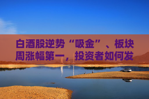 白酒股逆势“吸金”、板块周涨幅第一，投资者如何发掘舍得酒业的“质价比”