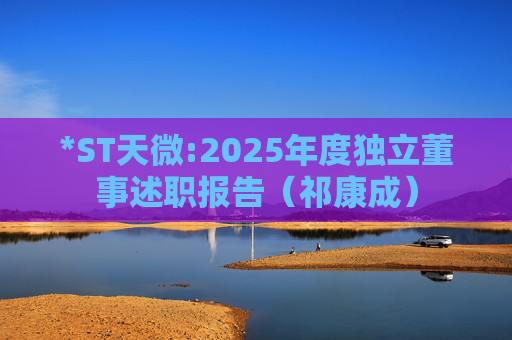 *ST天微:2025年度独立董事述职报告（祁康成）  第1张