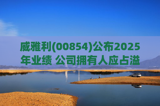 威雅利(00854)公布2025年业绩 公司拥有人应占溢利5095.8万港元