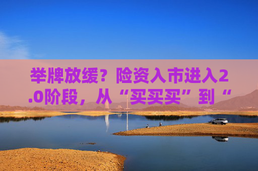 举牌放缓？险资入市进入2.0阶段，从“买买买”到“精挑细选”