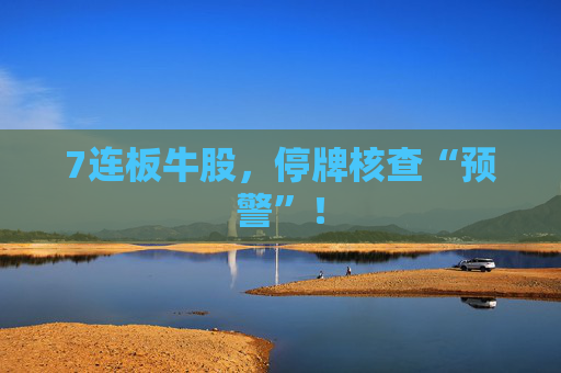 7连板牛股，停牌核查“预警”！