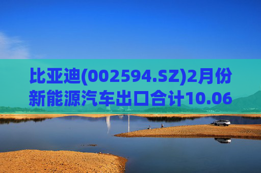 比亚迪(002594.SZ)2月份新能源汽车出口合计10.06万辆  第1张