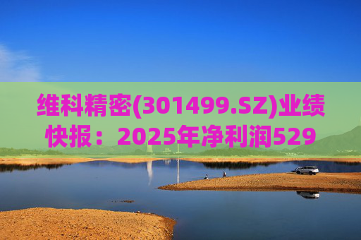 维科精密(301499.SZ)业绩快报：2025年净利润5293.82万元 同比增长16.85%  第1张
