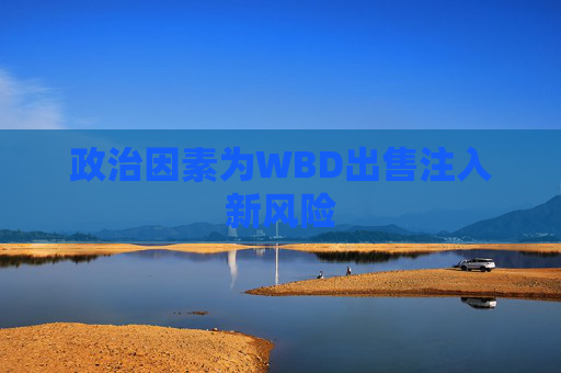 政治因素为WBD出售注入新风险  第1张