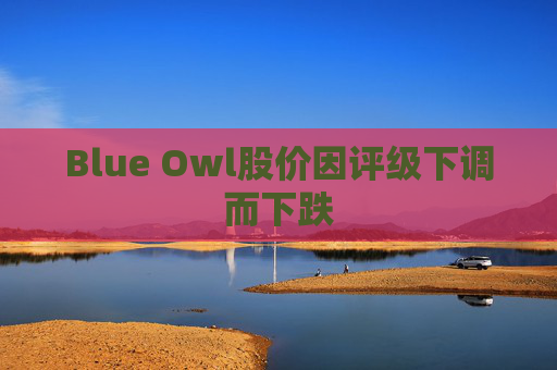 Blue Owl股价因评级下调而下跌