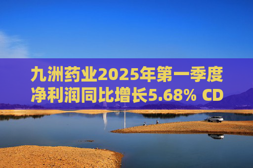 九洲药业2025年第一季度净利润同比增长5.68% CDMO业务稳步提升