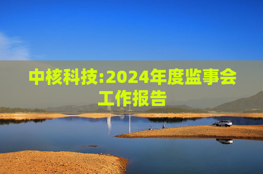 中核科技:2024年度监事会工作报告