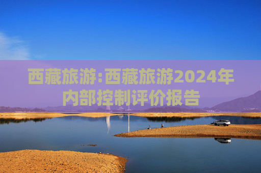 西藏旅游:西藏旅游2024年内部控制评价报告