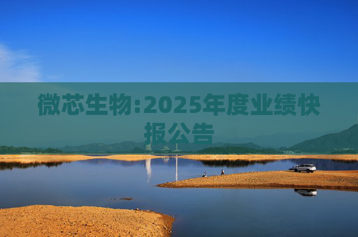 微芯生物:2025年度业绩快报公告