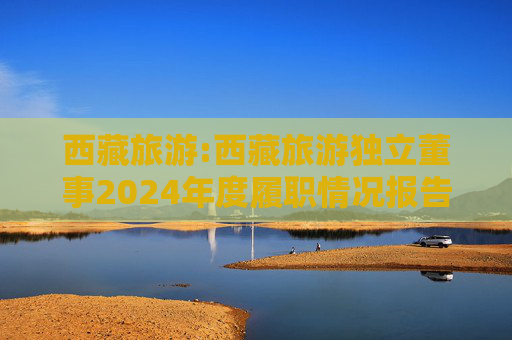 西藏旅游:西藏旅游独立董事2024年度履职情况报告（高金波）