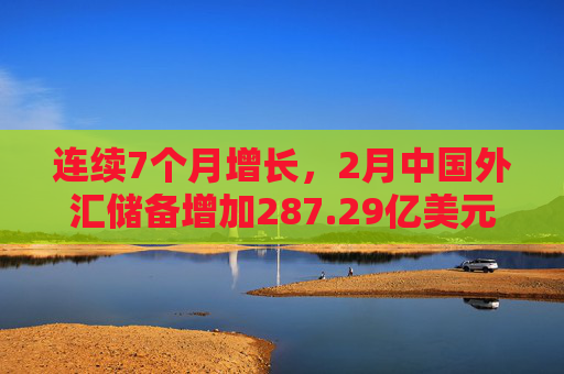 连续7个月增长，2月中国外汇储备增加287.29亿美元