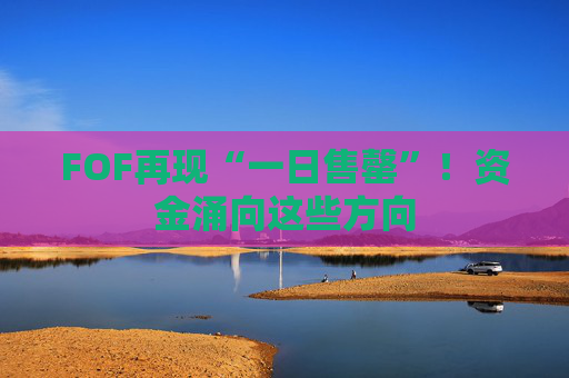 FOF再现“一日售罄”！资金涌向这些方向  第1张