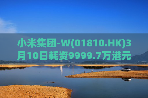 小米集团-W(01810.HK)3月10日耗资9999.7万港元回购297.7万股