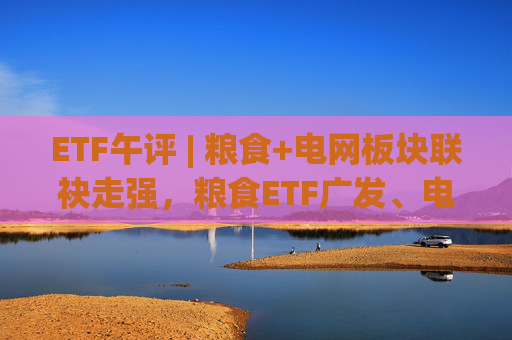 ETF午评 | 粮食+电网板块联袂走强，粮食ETF广发、电网设备ETF涨2%  第1张