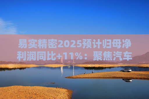 易实精密2025预计归母净利润同比+11%：聚焦汽车精密金属零部件研发销售，设立+增资子公司推进海外布局  第1张