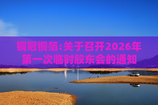 铜冠铜箔:关于召开2026年第一次临时股东会的通知