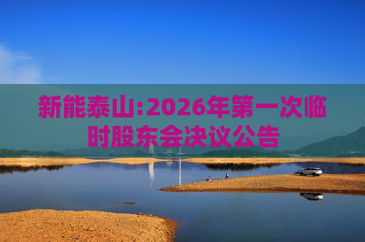 新能泰山:2026年第一次临时股东会决议公告  第1张