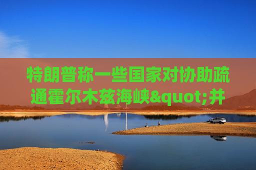 特朗普称一些国家对协助疏通霍尔木兹海峡"并不热心"