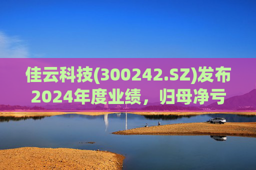 佳云科技(300242.SZ)发布2024年度业绩，归母净亏损1.06亿元，扩大10.93%