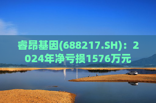 睿昂基因(688217.SH)：2024年净亏损1576万元
