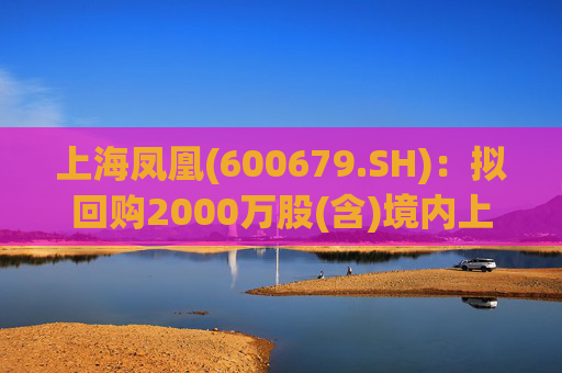 上海凤凰(600679.SH)：拟回购2000万股(含)境内上市外资股(B股)  第1张