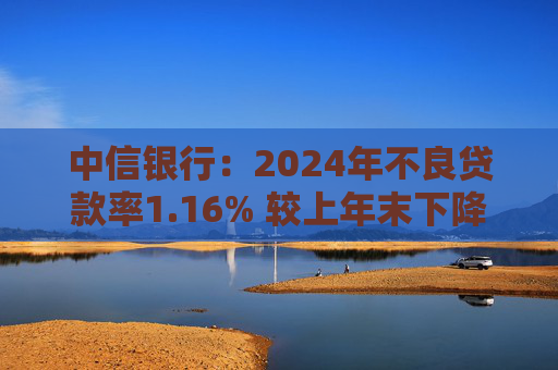中信银行：2024年不良贷款率1.16% 较上年末下降0.02个百分点  第1张