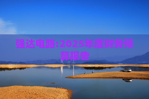 强达电路:2025年度财务预算报告