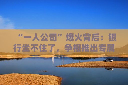 “一人公司”爆火背后：银行坐不住了，争相推出专属金融方案
