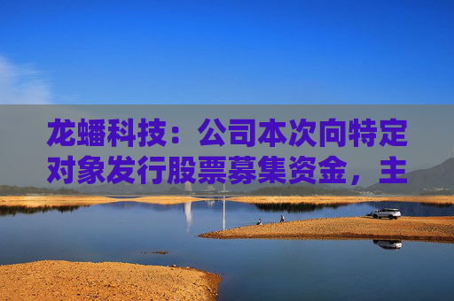 龙蟠科技：公司本次向特定对象发行股票募集资金，主要用于高性能磷酸盐型正极材料项目建设及补充流动资金  第1张