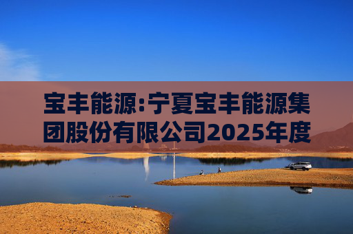 宝丰能源:宁夏宝丰能源集团股份有限公司2025年度独立董事述职报告（孙积禄）
