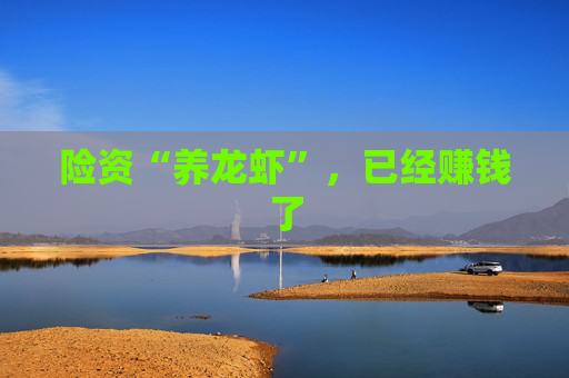 险资“养龙虾”，已经赚钱了  第1张