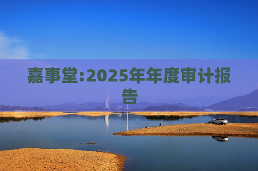 嘉事堂:2025年年度审计报告  第1张