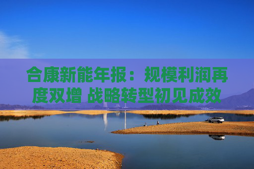 合康新能年报：规模利润再度双增 战略转型初见成效