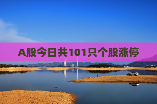 A股今日共101只个股涨停