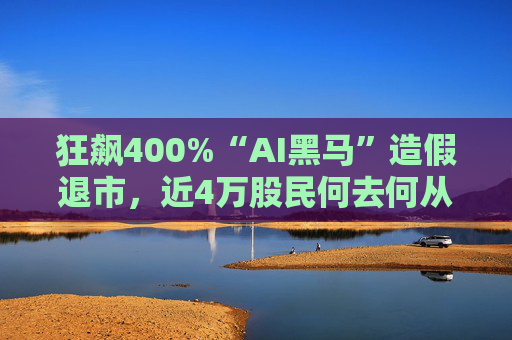 狂飙400%“AI黑马”造假退市，近4万股民何去何从？