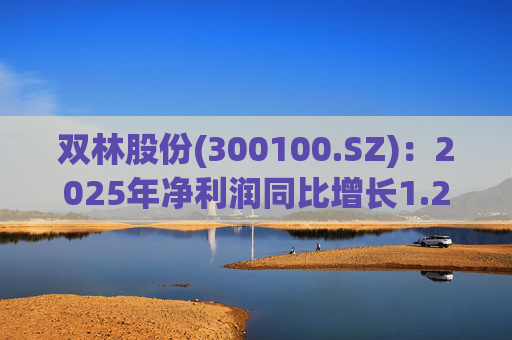 双林股份(300100.SZ)：2025年净利润同比增长1.25% 拟10股派1元  第1张