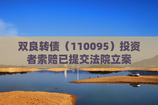 双良转债（110095）投资者索赔已提交法院立案
