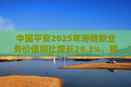 中国平安2025年寿险新业务价值同比增长29.3%，银保渠道爆发式同比138%