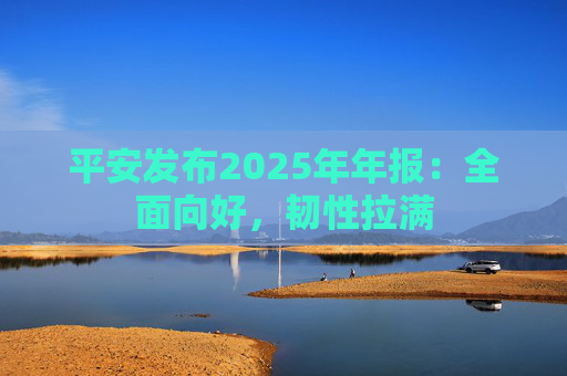 平安发布2025年年报：全面向好，韧性拉满