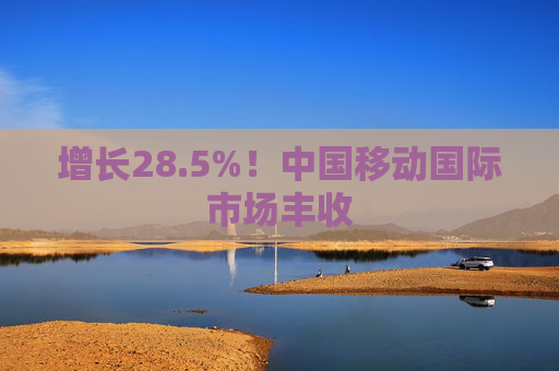 增长28.5%！中国移动国际市场丰收  第1张