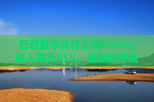 巴西数字支付公司PicPay收入飙升85%，金融服务组合持续扩大  第1张