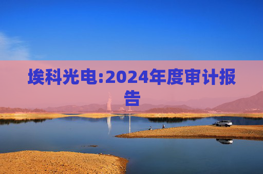 埃科光电:2024年度审计报告
