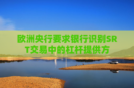 欧洲央行要求银行识别SRT交易中的杠杆提供方